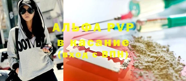 стаф Бородино