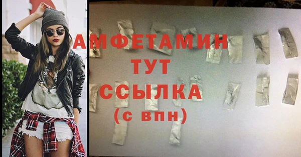 стаф Бородино