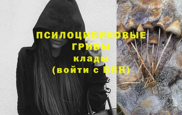 ешки Бронницы