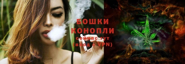 стаф Бородино