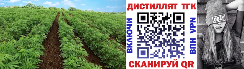ТГК THC oil  Вилюйск 