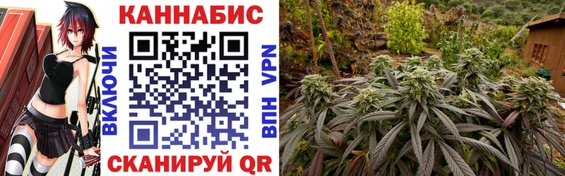 МАРИХУАНА гибрид  Вилюйск 